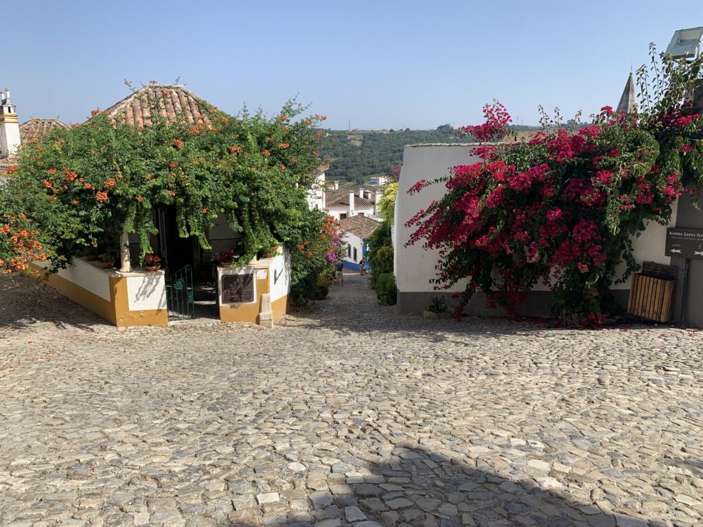 obidos portugal famille bougainville Road trip au Portugal en famille : 8 jours entre Lisbonne, Batalha et Nazaré avec nos enfants obidos portugal famille bougainville